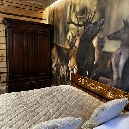 Pokoje I Apartamenty Regionalny Styl Ul Bachledy 20 Закопане Екстер'єр фото